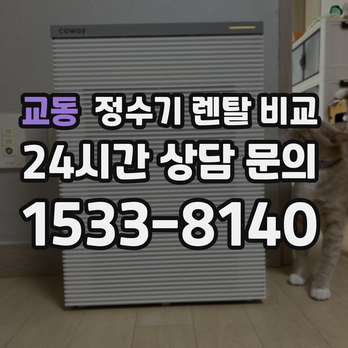 교동 정수기 렌탈 비교