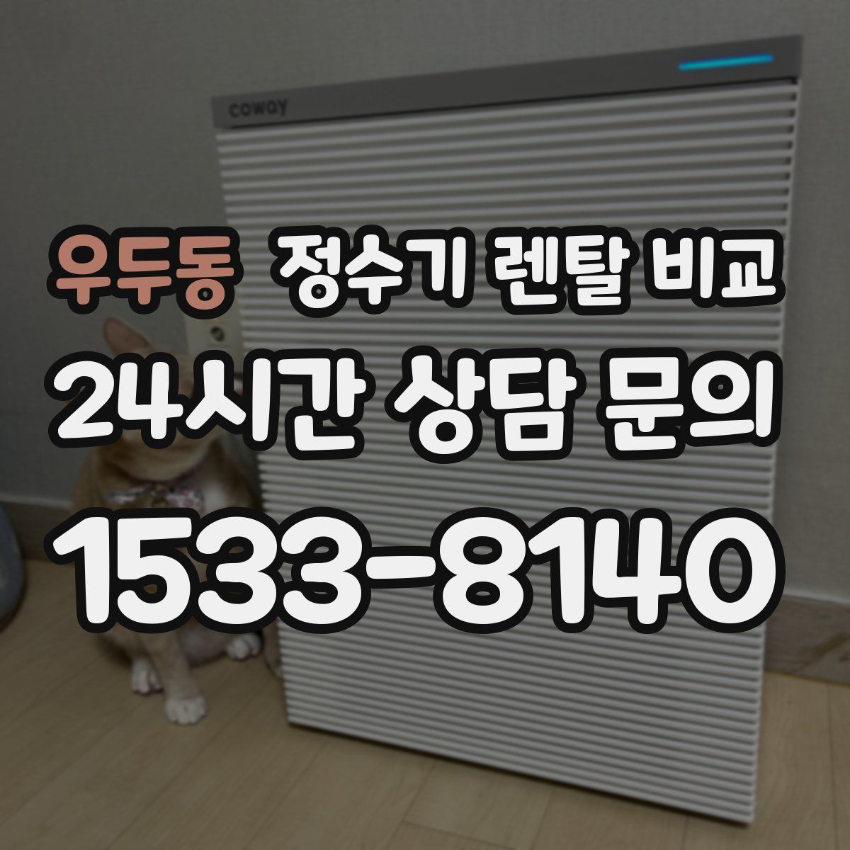 우두동 정수기 렌탈 비교