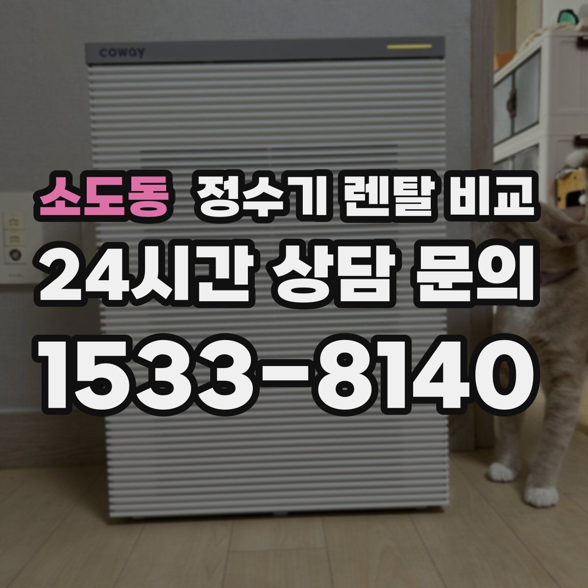 소도동 정수기 렌탈 비교