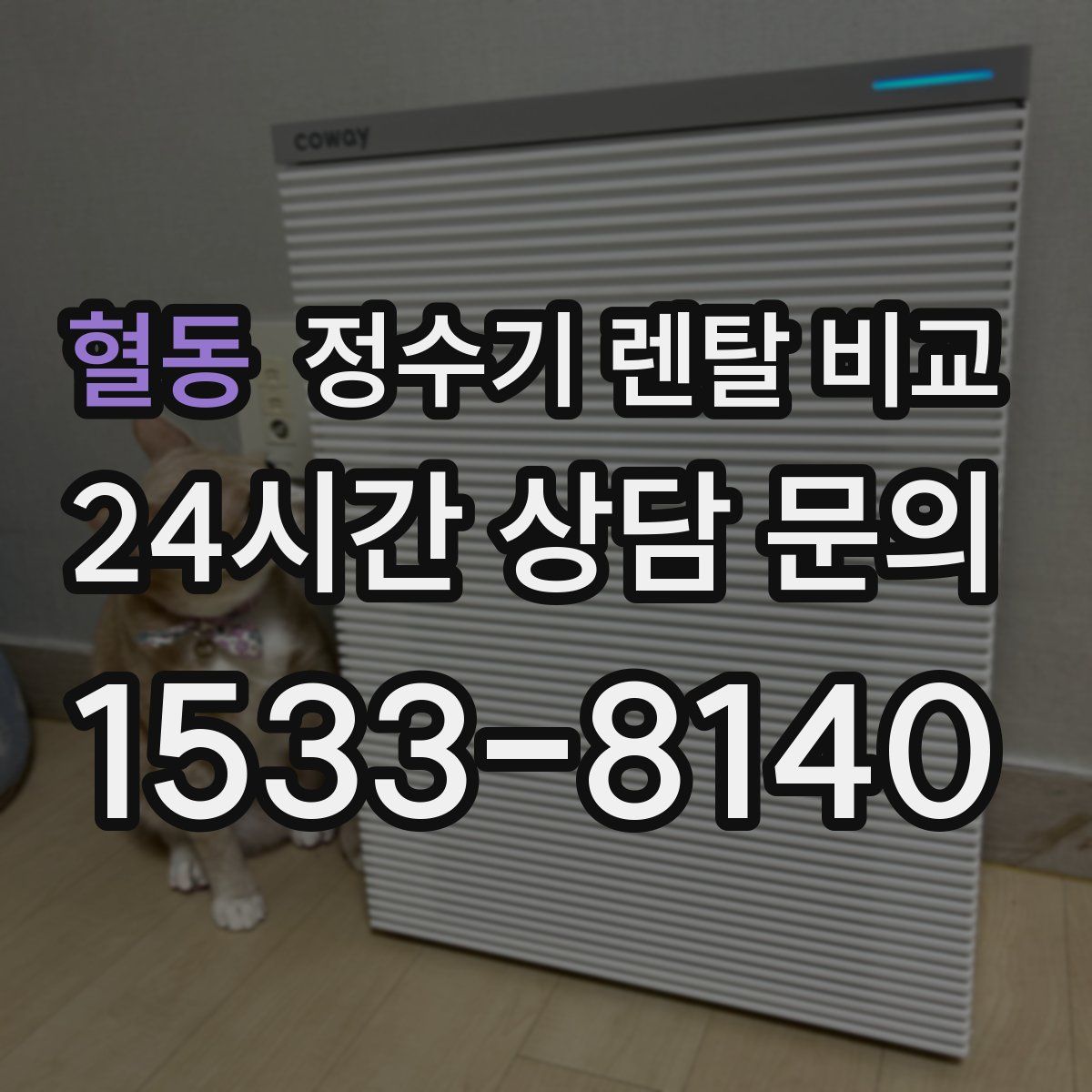 혈동 정수기 렌탈 비교