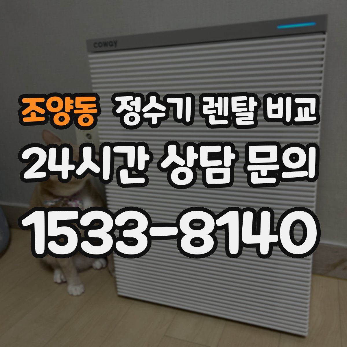 조양동 정수기 렌탈 비교