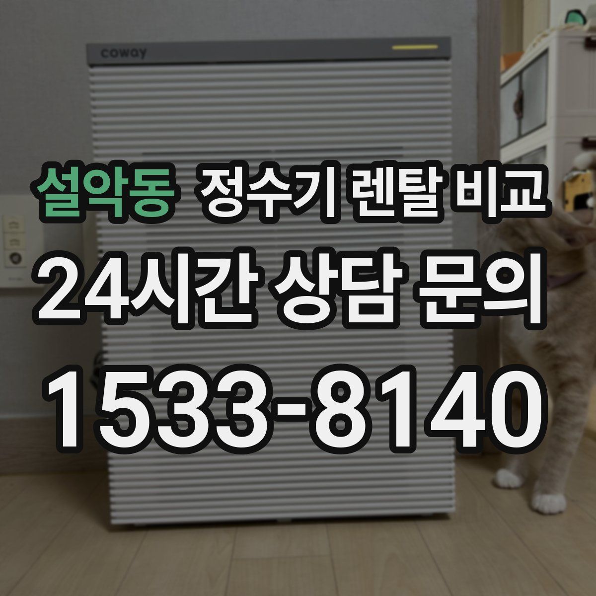 설악동 정수기 렌탈 비교