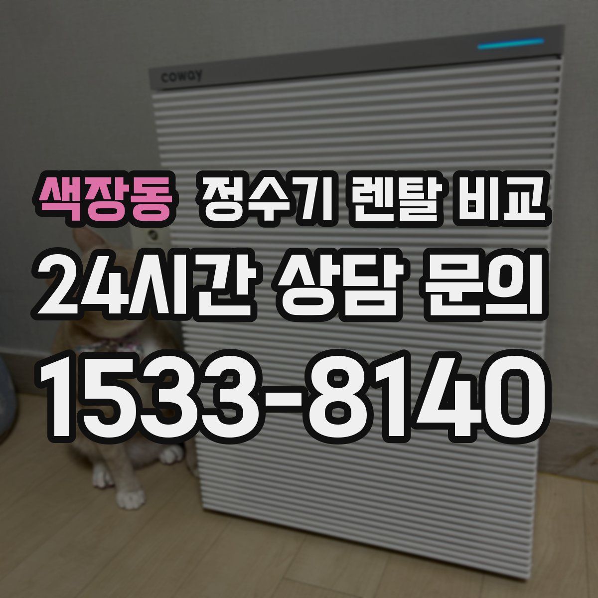 색장동 정수기 렌탈 비교