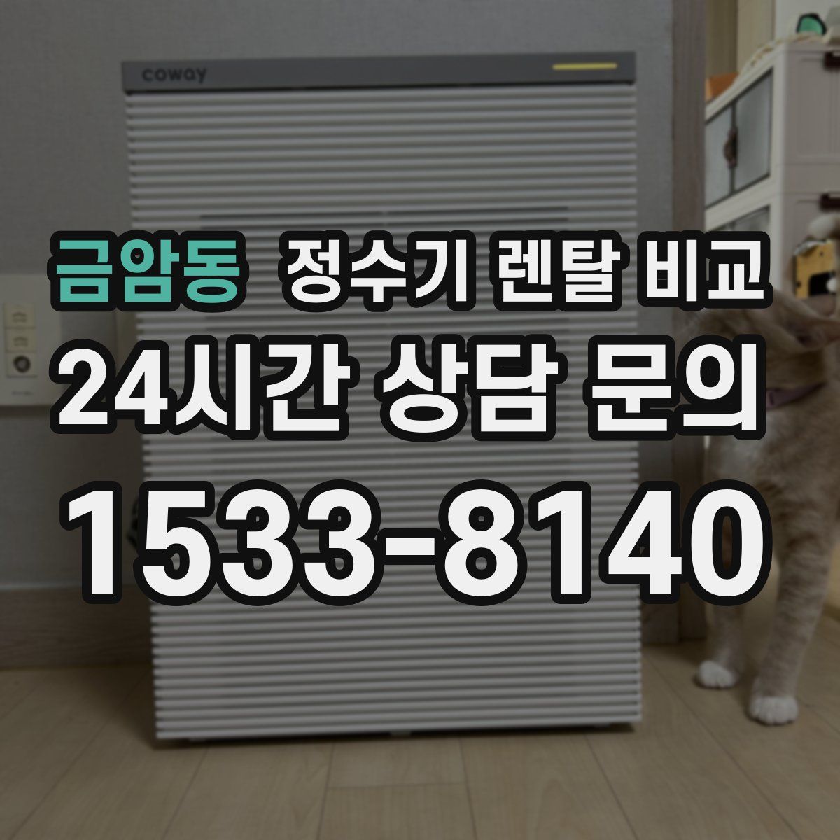 금암동 정수기 렌탈 비교