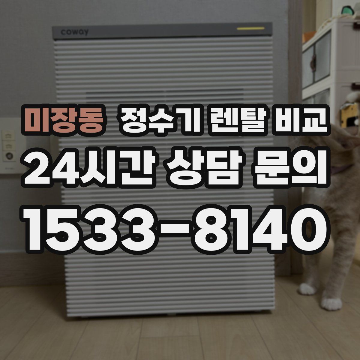 미장동 정수기 렌탈 비교
