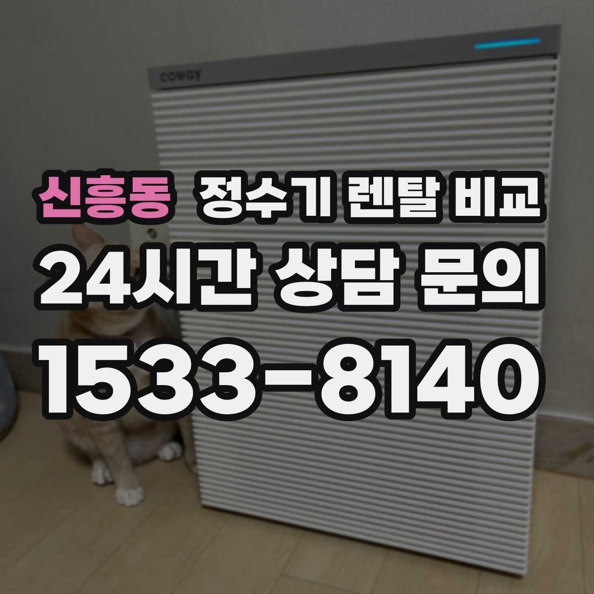 신흥동 정수기 렌탈 비교