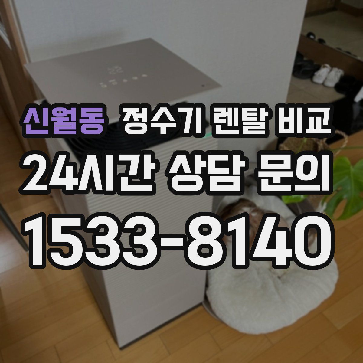 신월동 정수기 렌탈 비교