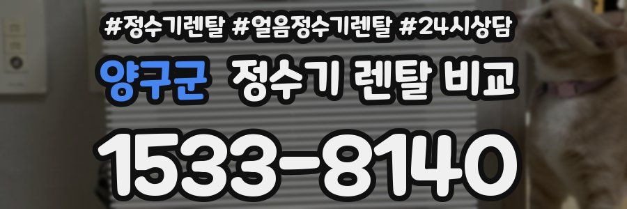 양구군 정수기 렌탈 비교