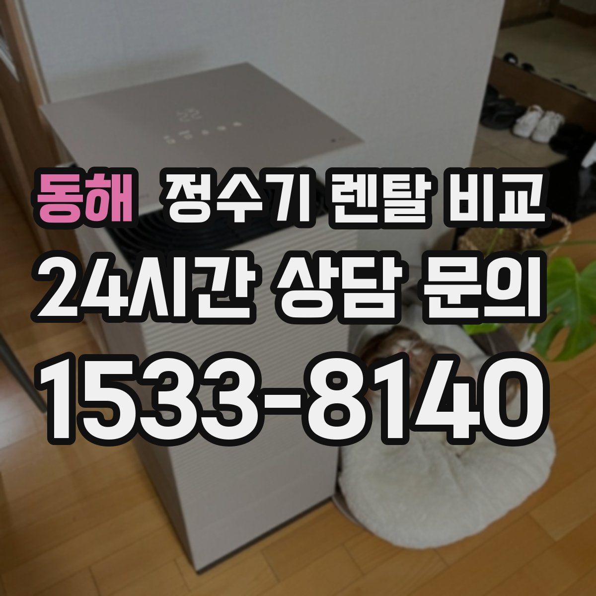 동해 정수기 렌탈 비교
