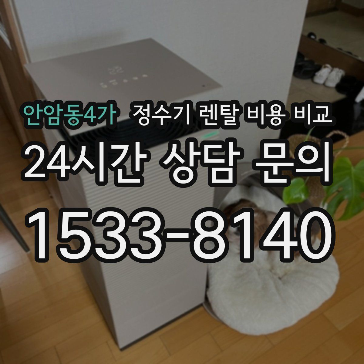 안암동4가 정수기 렌탈 비용 비교