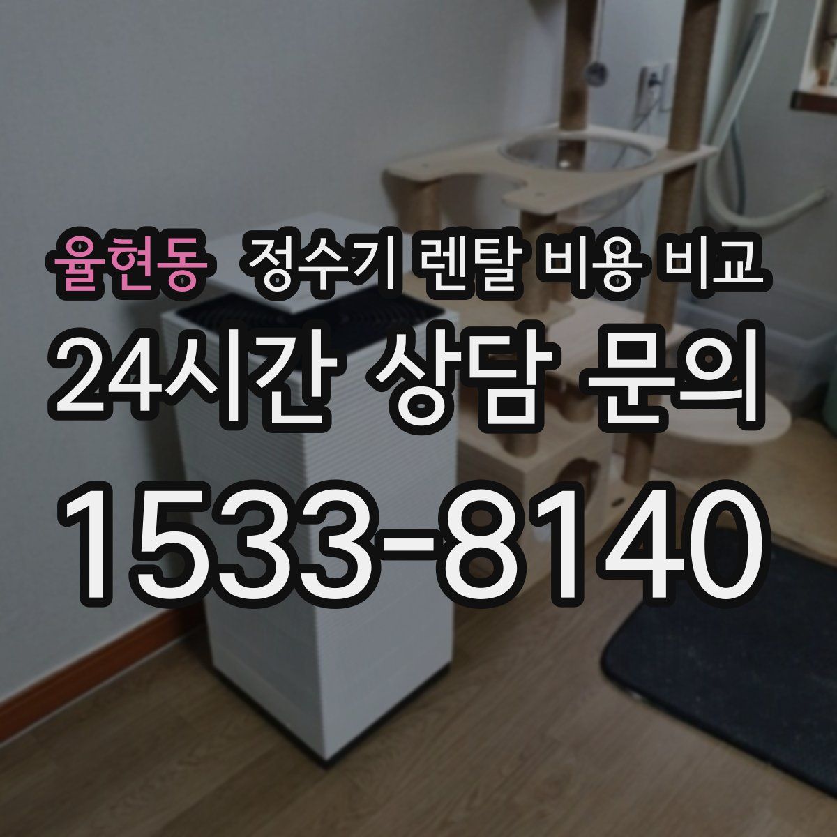 율현동 정수기 렌탈 비용 비교