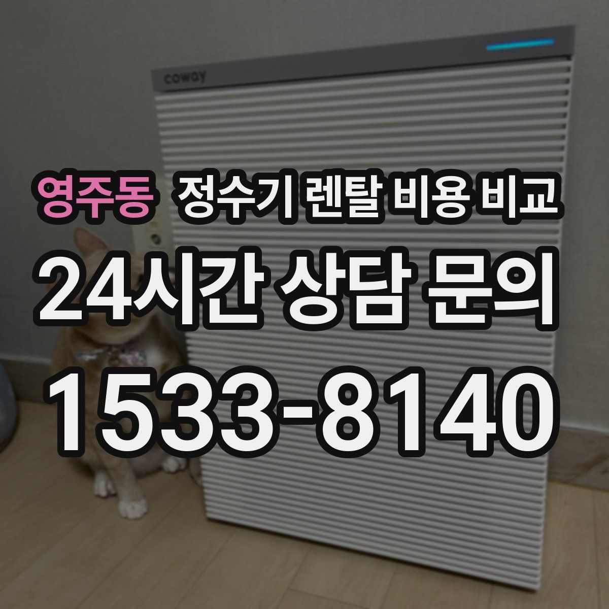 영주동 정수기 렌탈 비용 비교