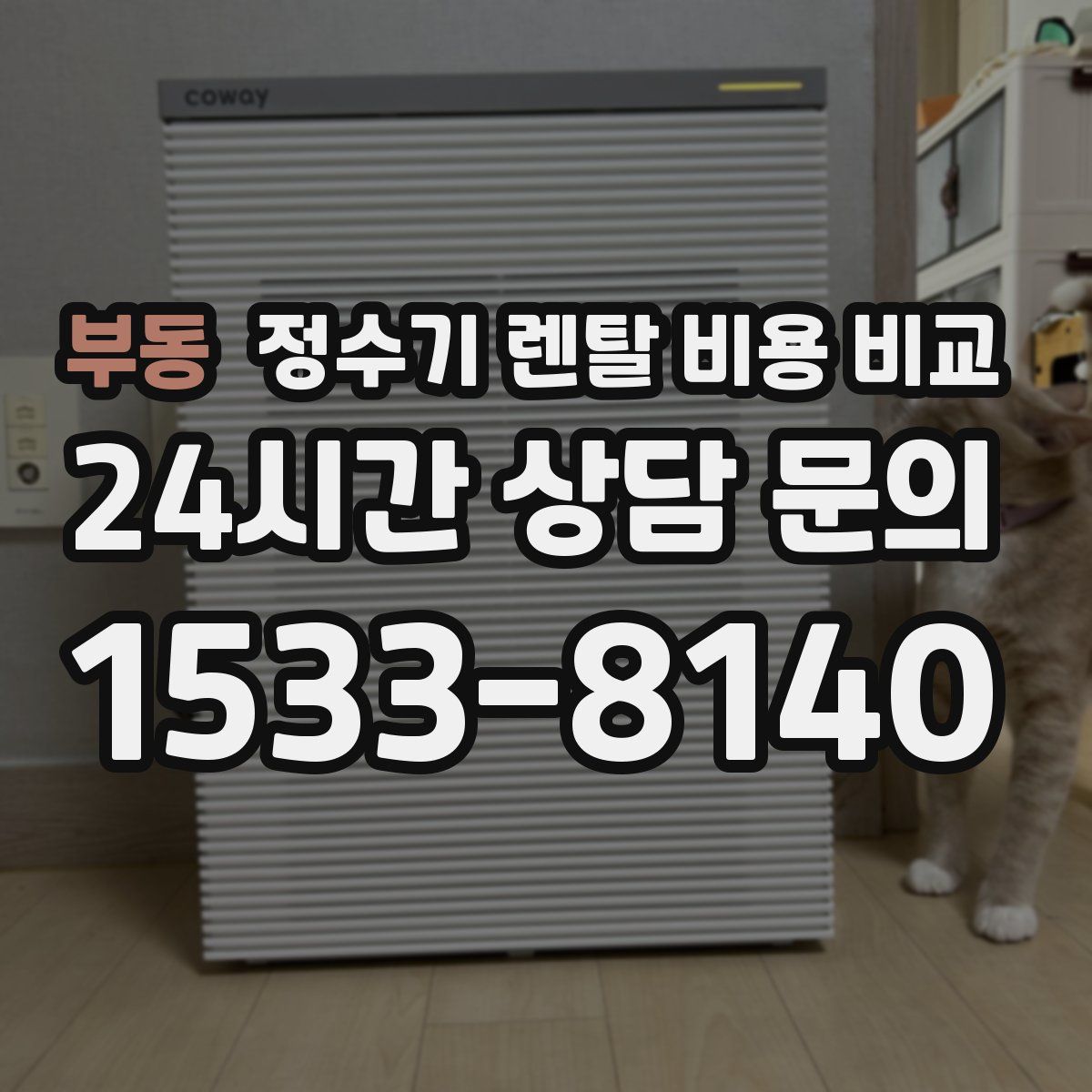 부동 정수기 렌탈 비용 비교