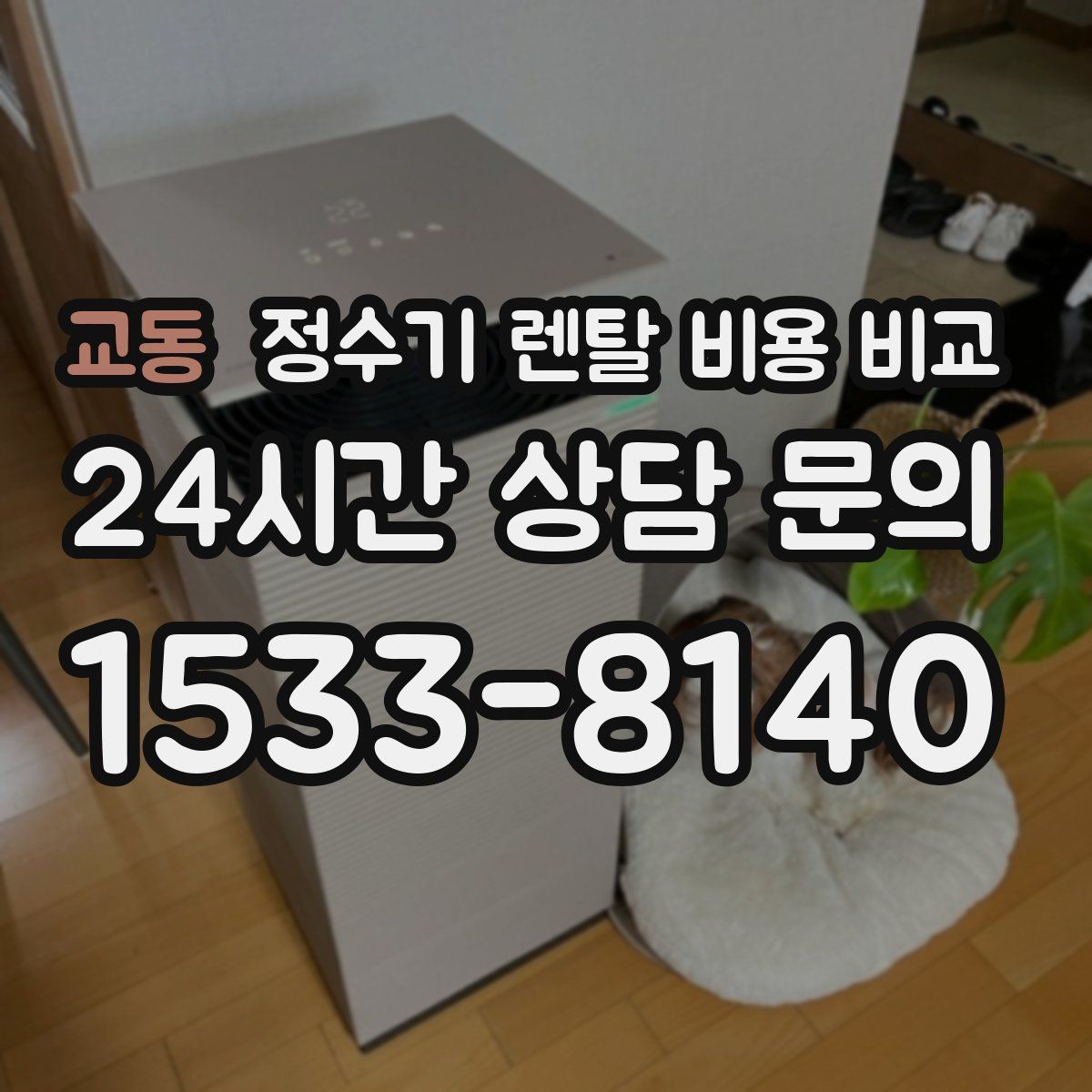 교동 정수기 렌탈 비용 비교