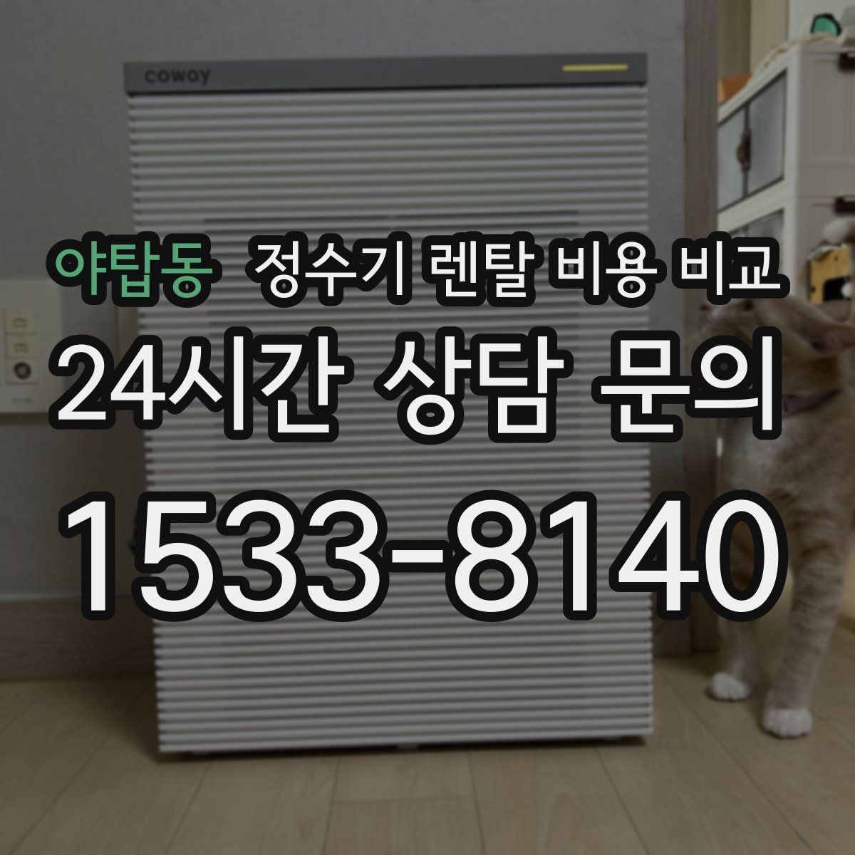야탑동 정수기 렌탈 비용 비교