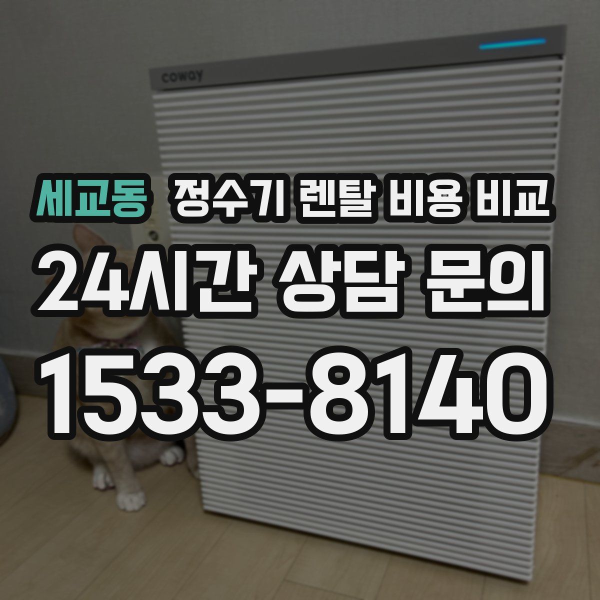 세교동 정수기 렌탈 비용 비교