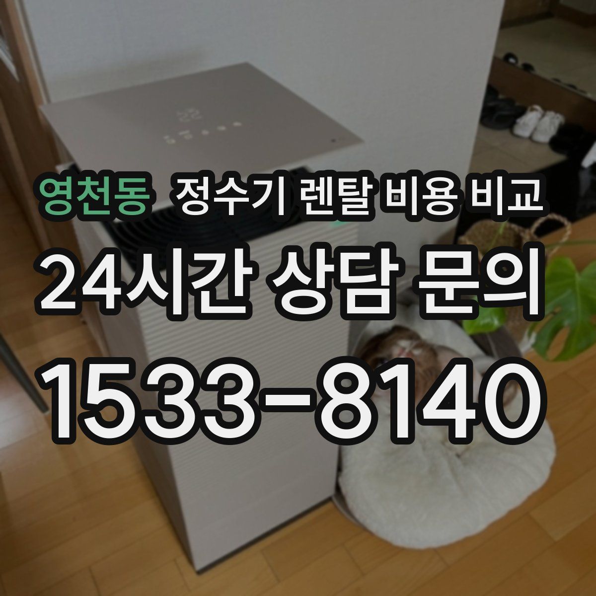 영천동 정수기 렌탈 비용 비교