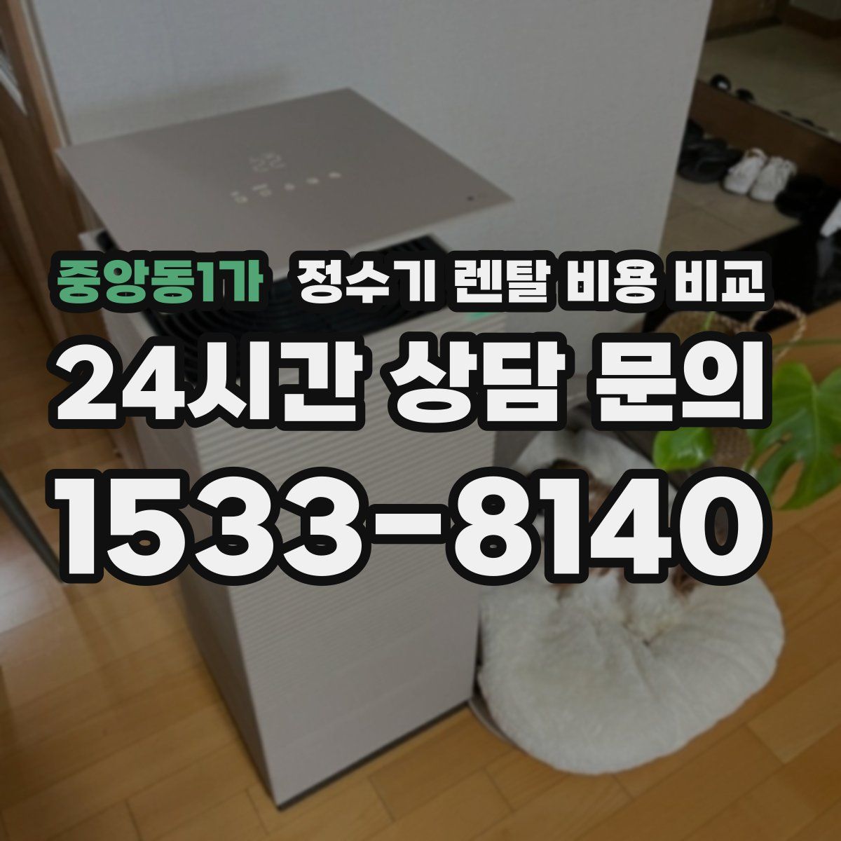 중앙동1가 정수기 렌탈 비용 비교