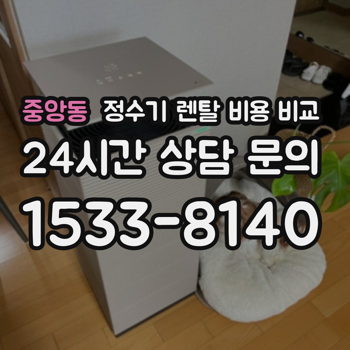 중앙동 정수기 렌탈 비용 비교