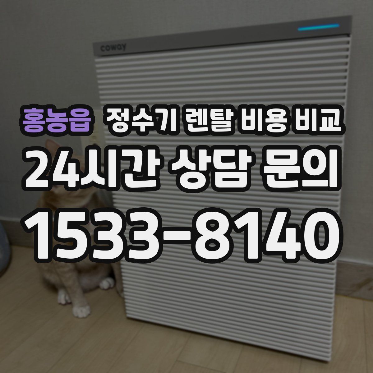 홍농읍 정수기 렌탈 비용 비교
