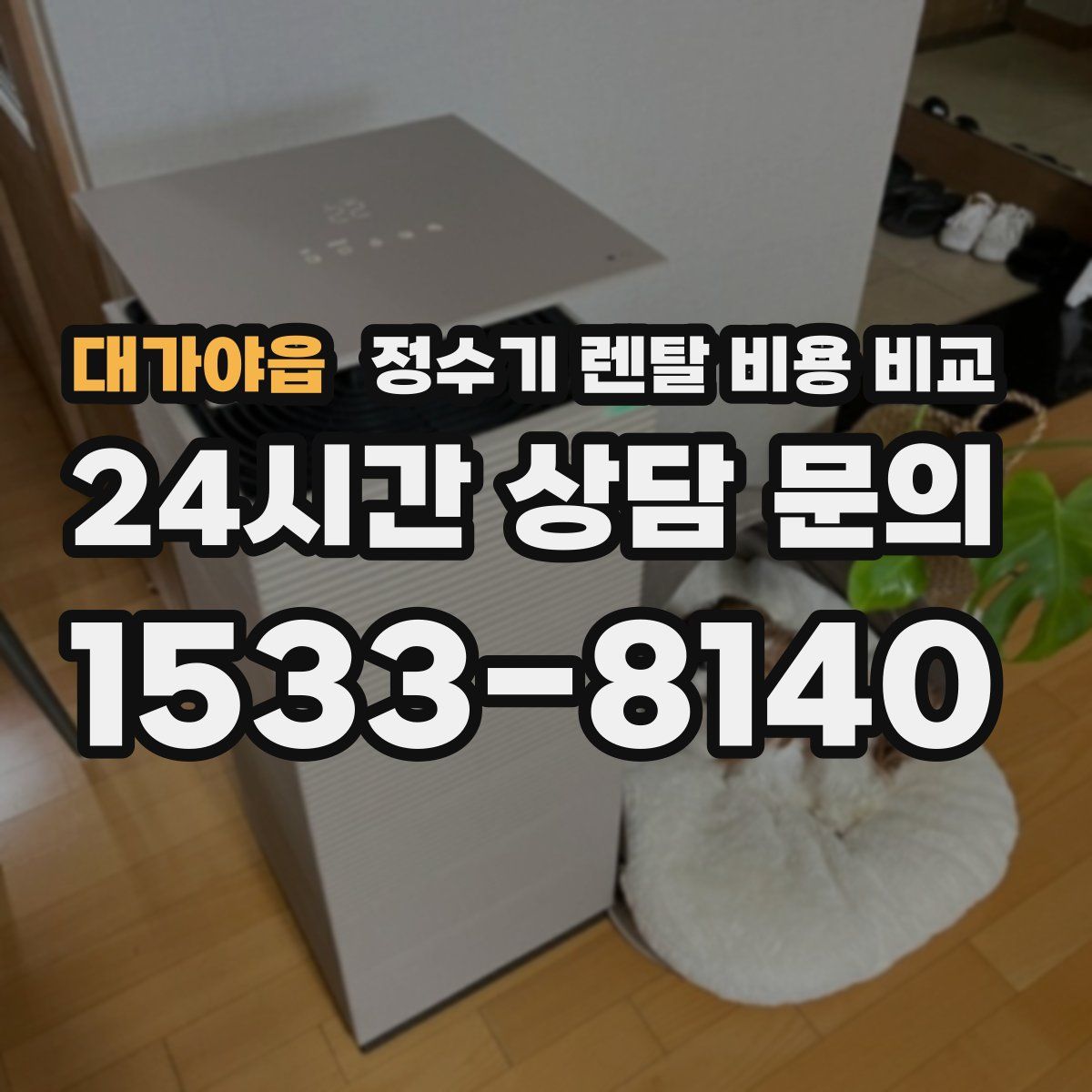 대가야읍 정수기 렌탈 비용 비교