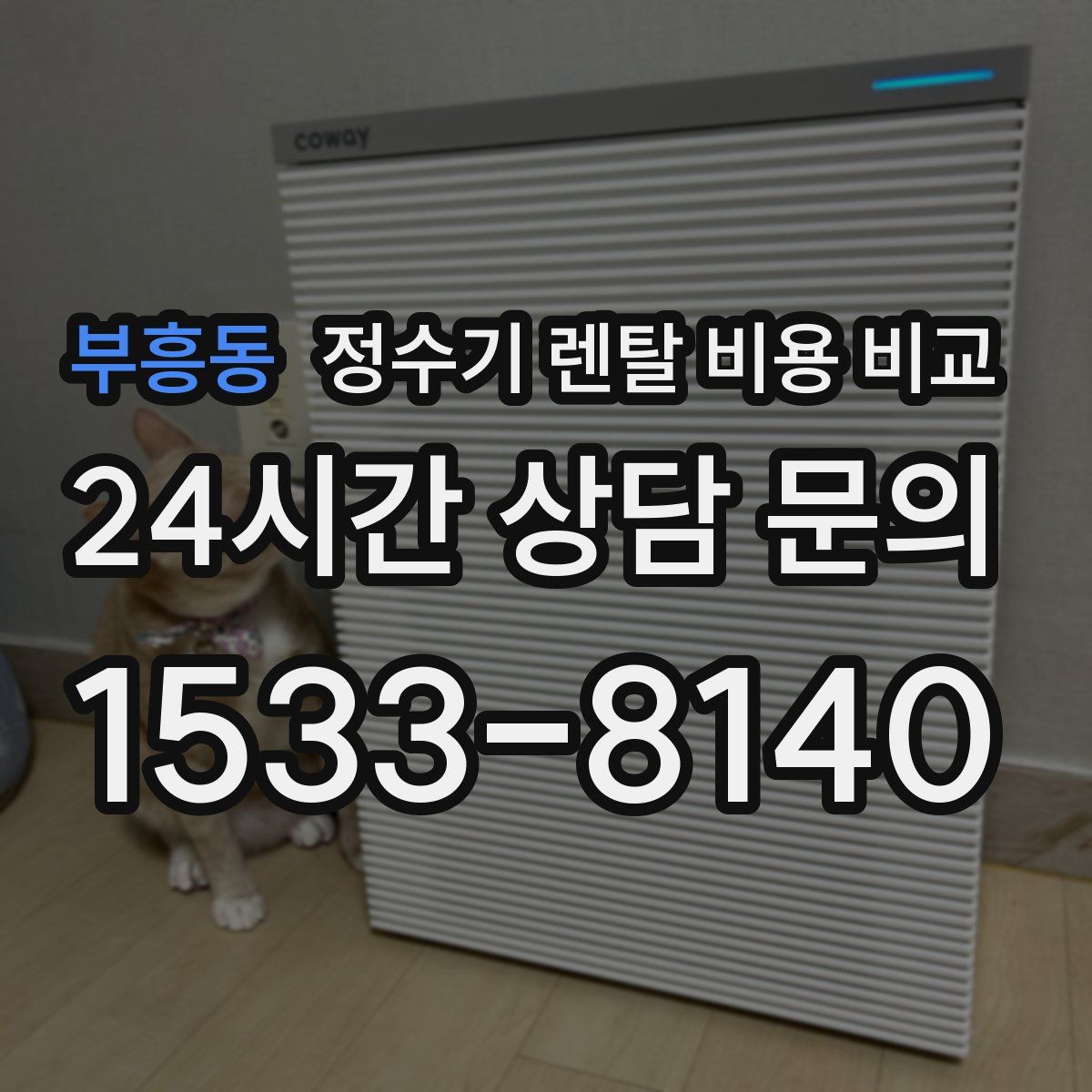 부흥동 정수기 렌탈 비용 비교