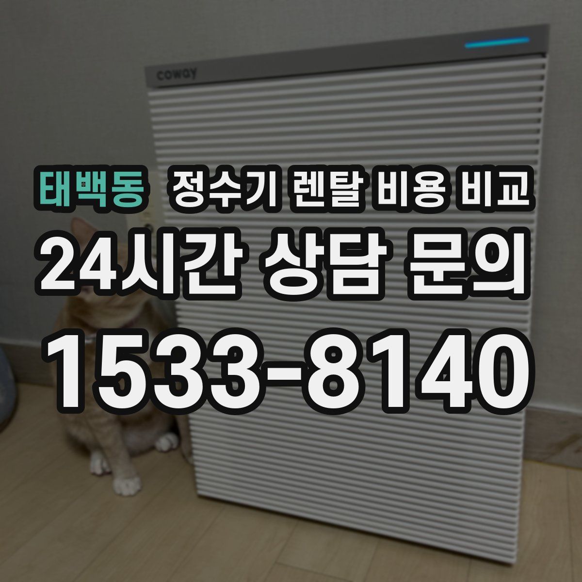 태백동 정수기 렌탈 비용 비교