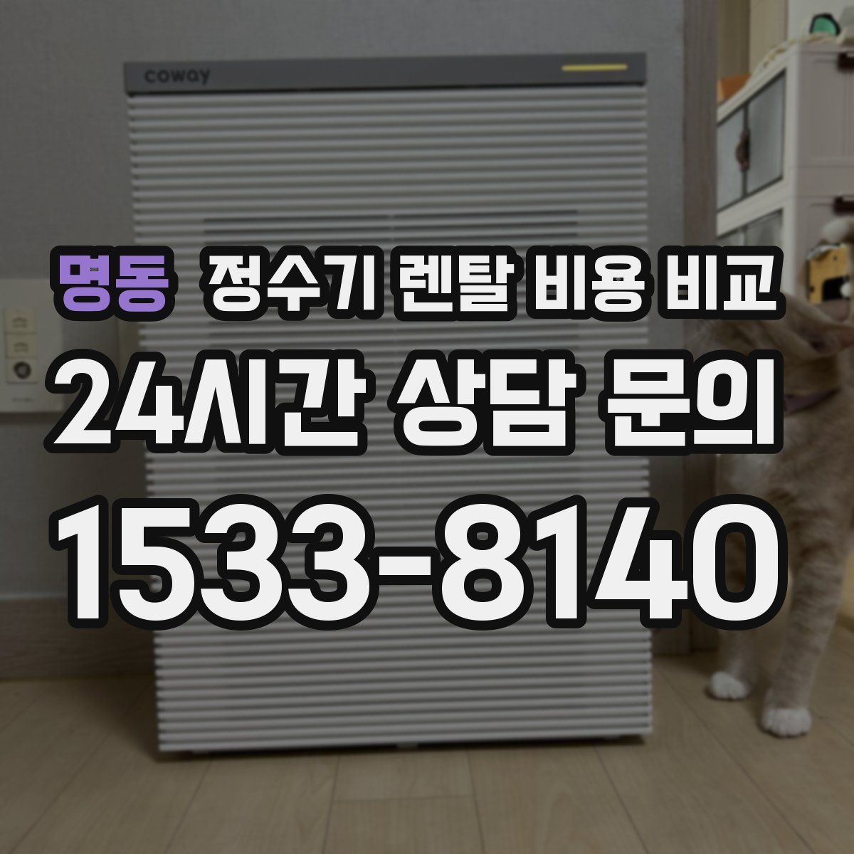명동 정수기 렌탈 비용 비교