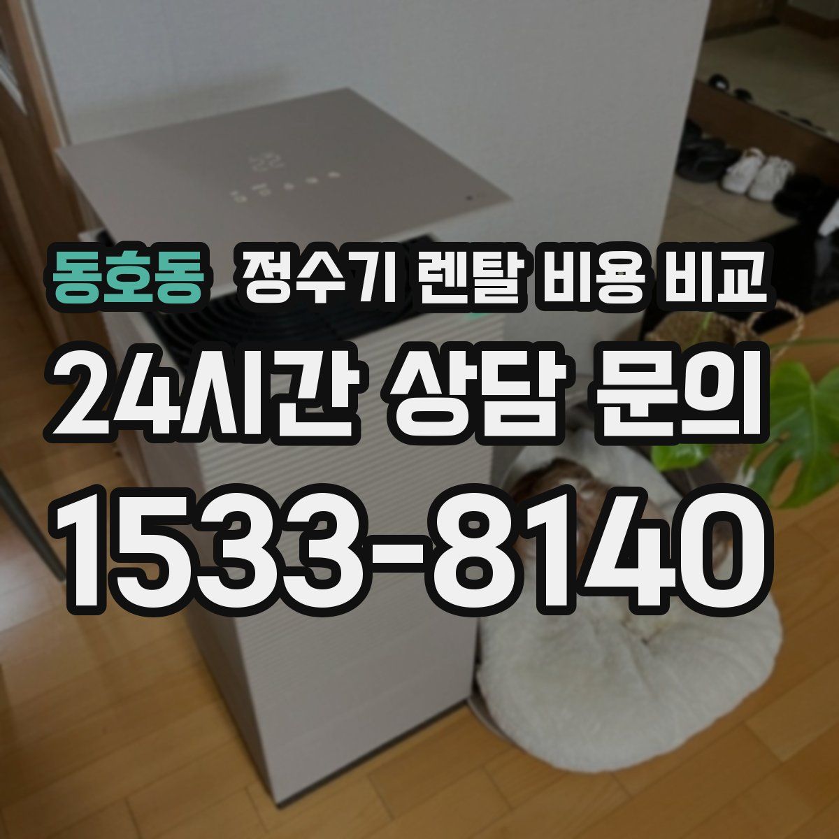 동호동 정수기 렌탈 비용 비교