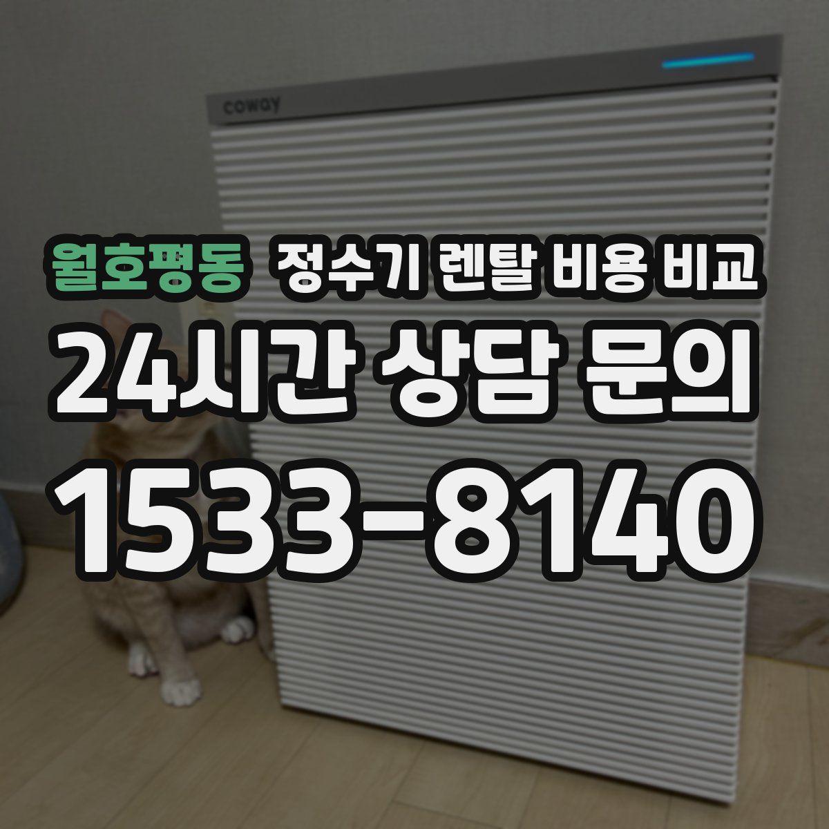 월호평동 정수기 렌탈 비용 비교