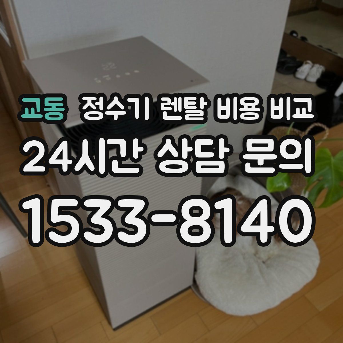 교동 정수기 렌탈 비용 비교