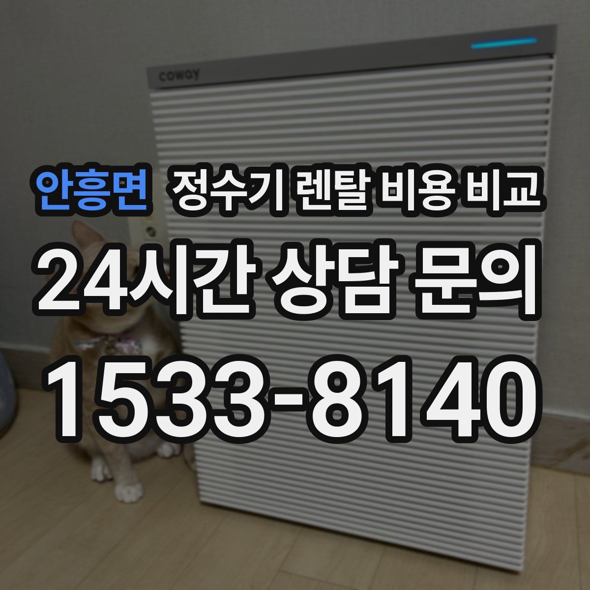 안흥면 정수기 렌탈 비용 비교