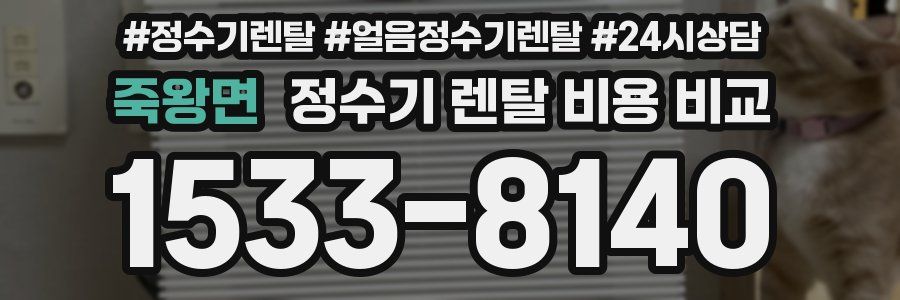 죽왕면 정수기 렌탈 비용 비교