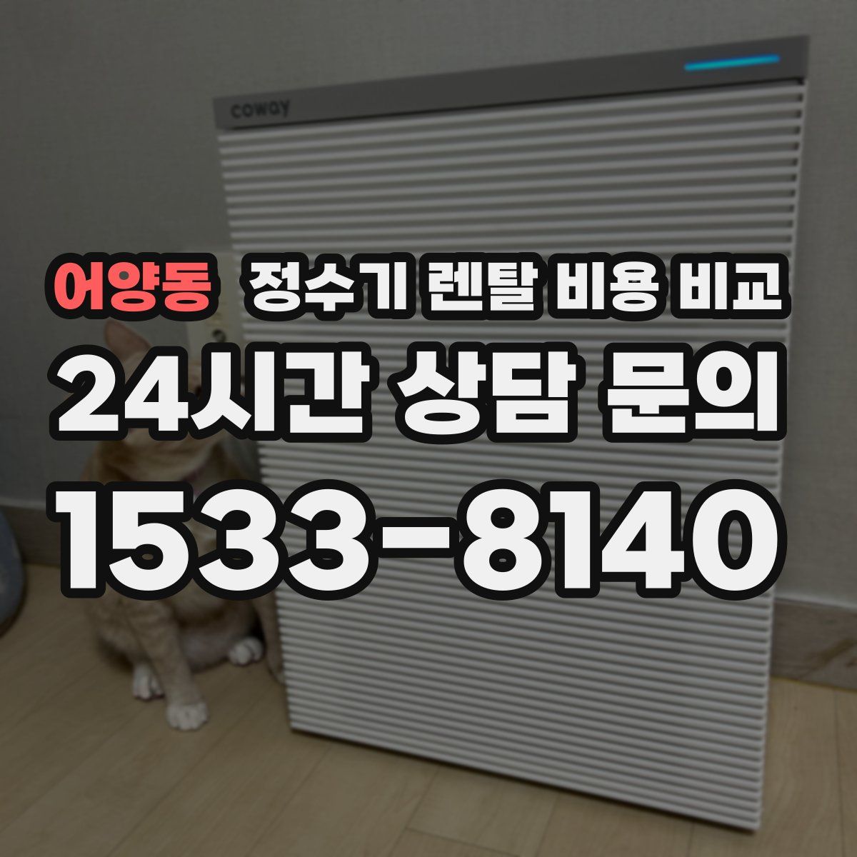 어양동 정수기 렌탈 비용 비교