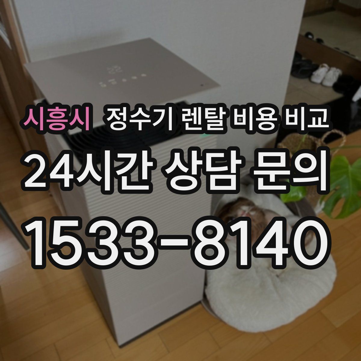 시흥시 정수기 렌탈 비용 비교