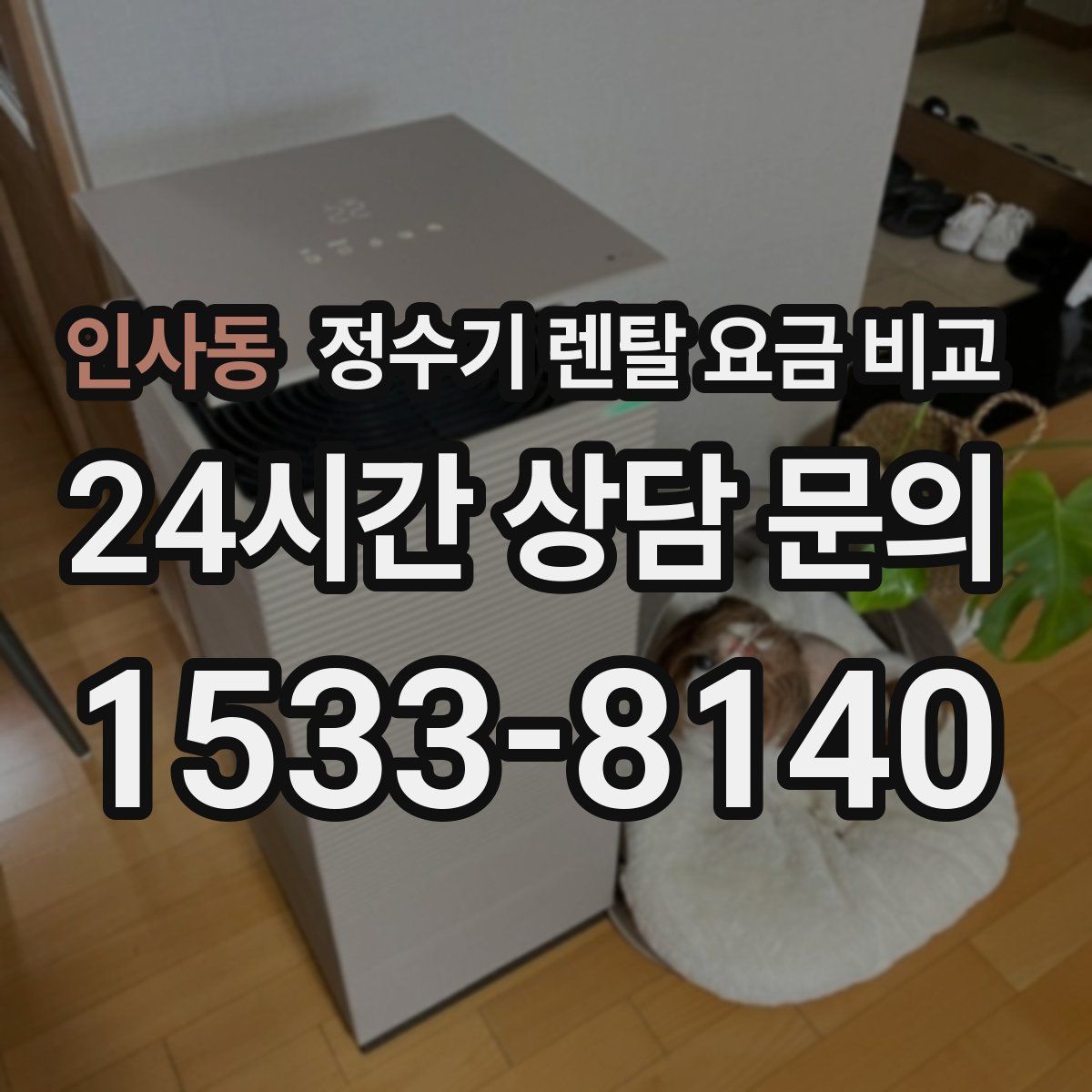 인사동 정수기 렌탈 요금 비교