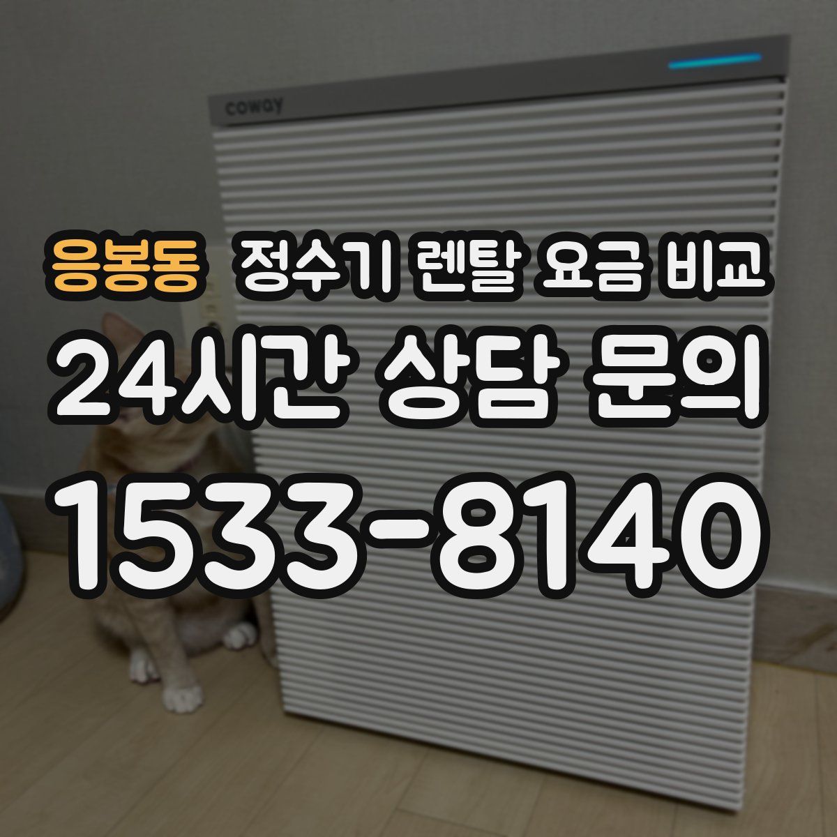 응봉동 정수기 렌탈 요금 비교