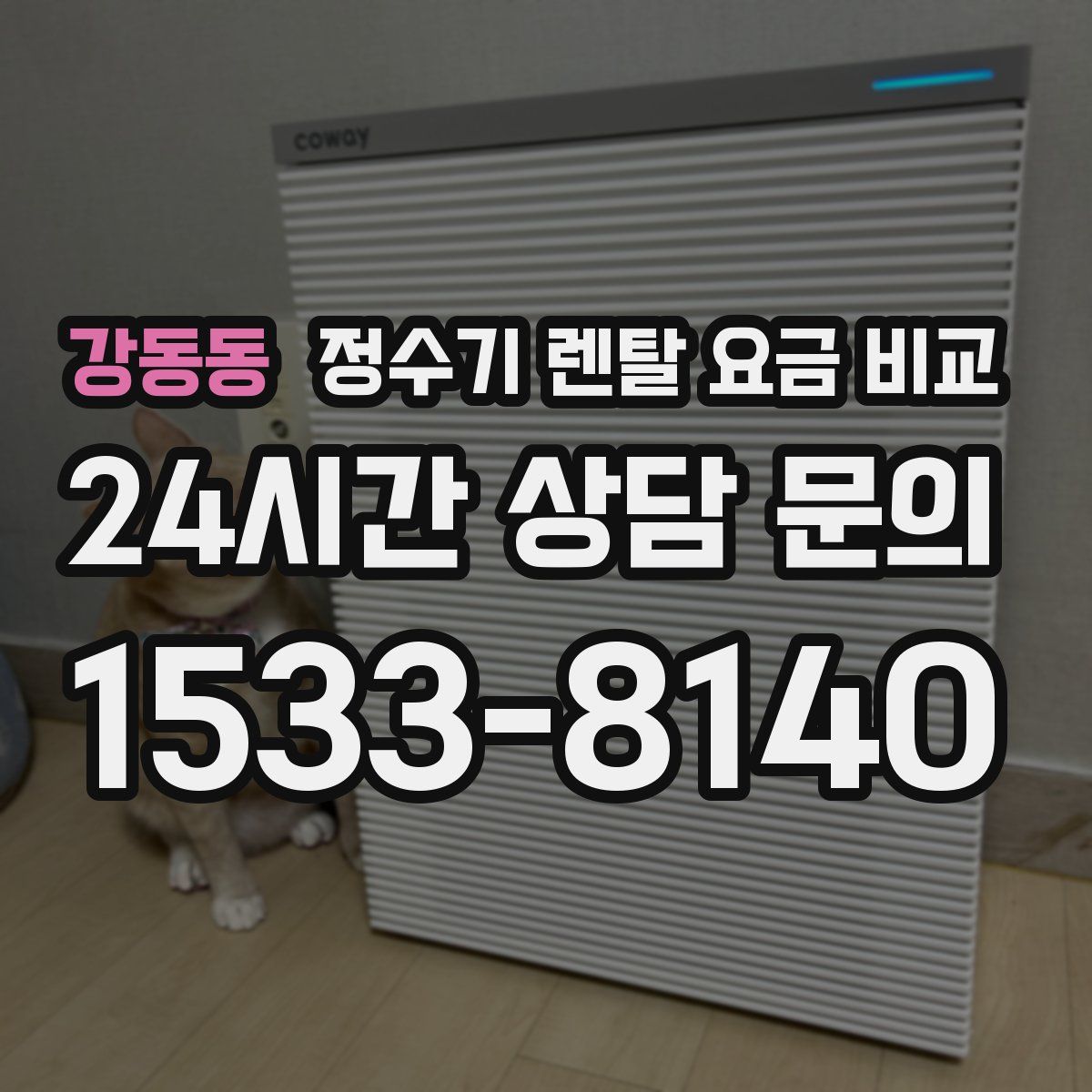 강동동 정수기 렌탈 요금 비교