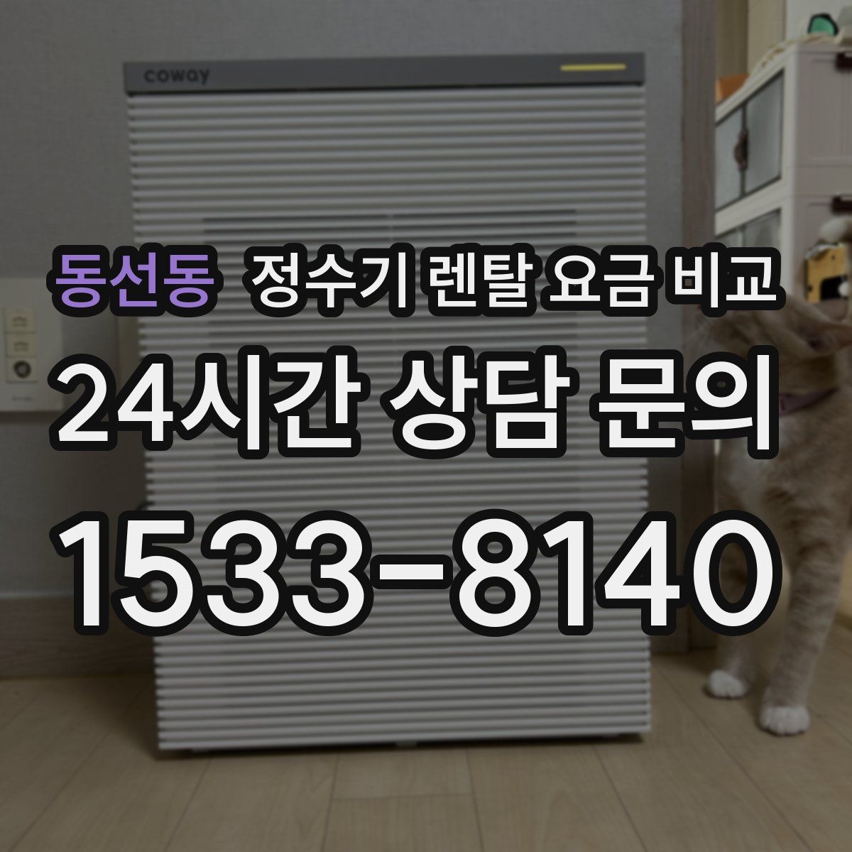 동선동 정수기 렌탈 요금 비교