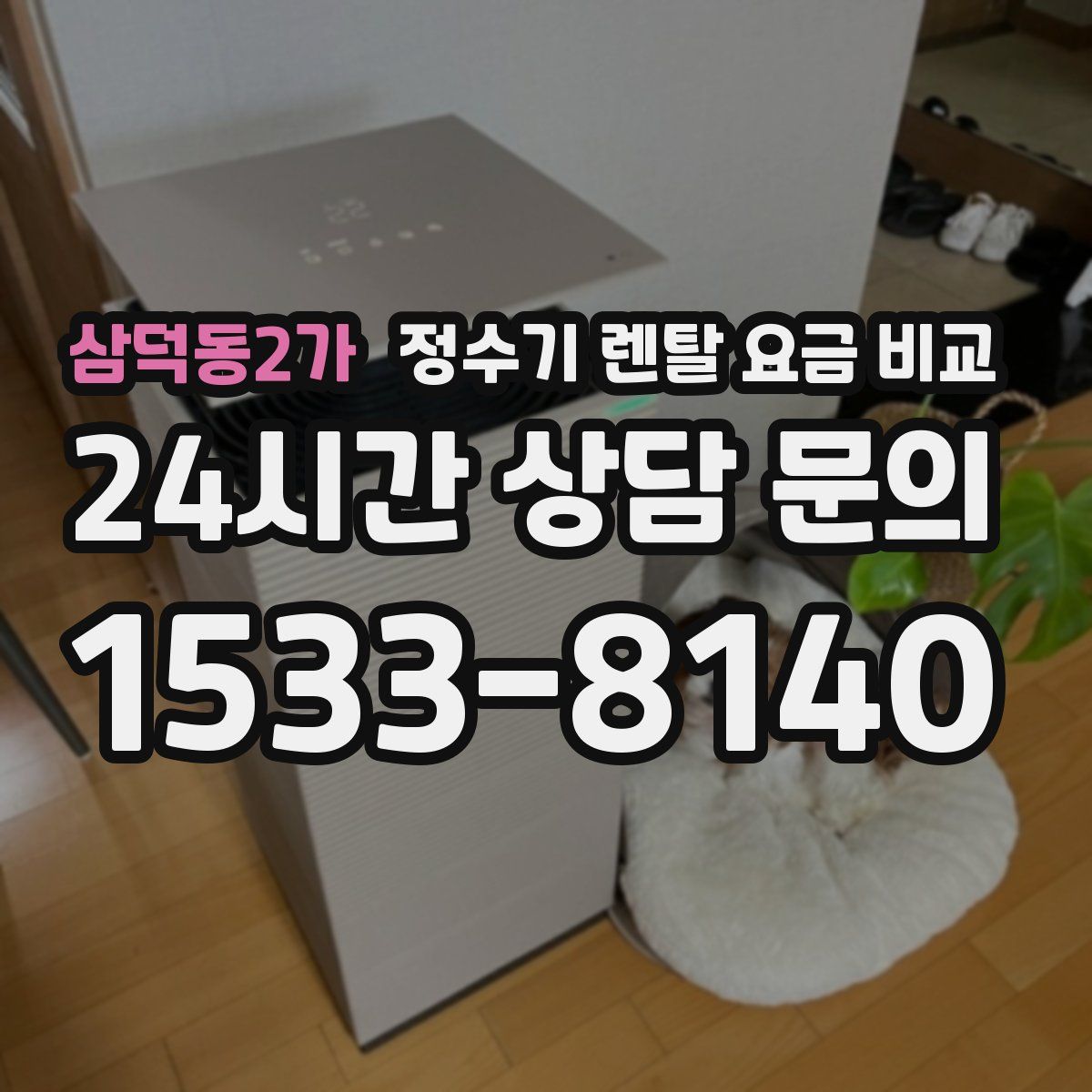 삼덕동2가 정수기 렌탈 요금 비교