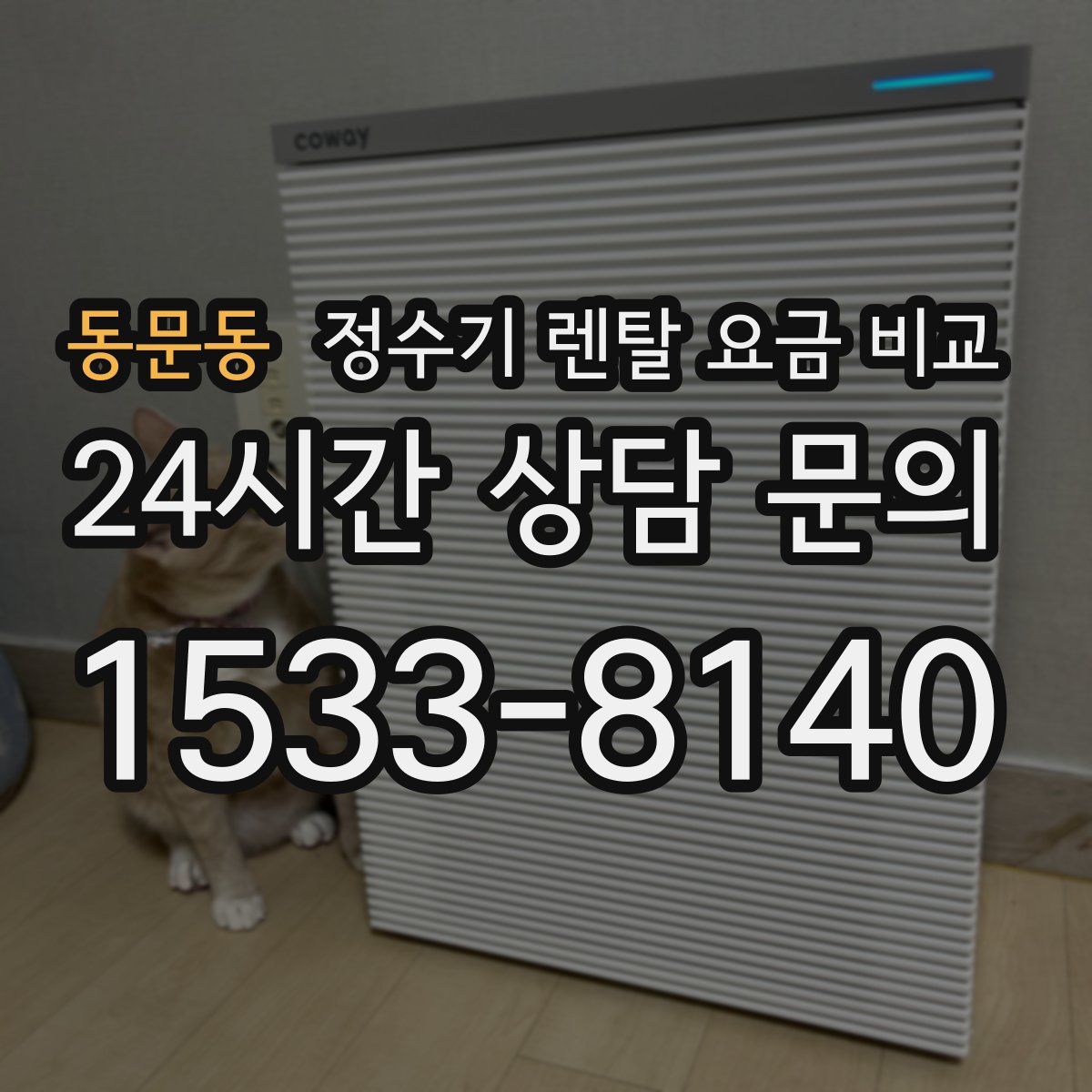 동문동 정수기 렌탈 요금 비교