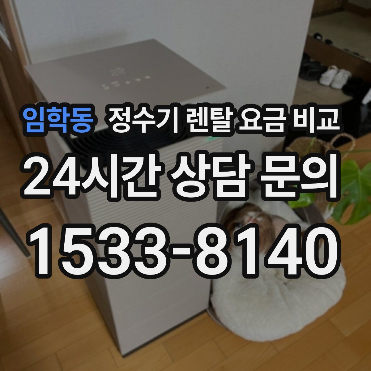 임학동 정수기 렌탈 요금 비교