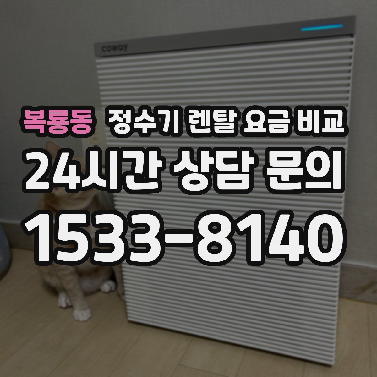 복룡동 정수기 렌탈 요금 비교