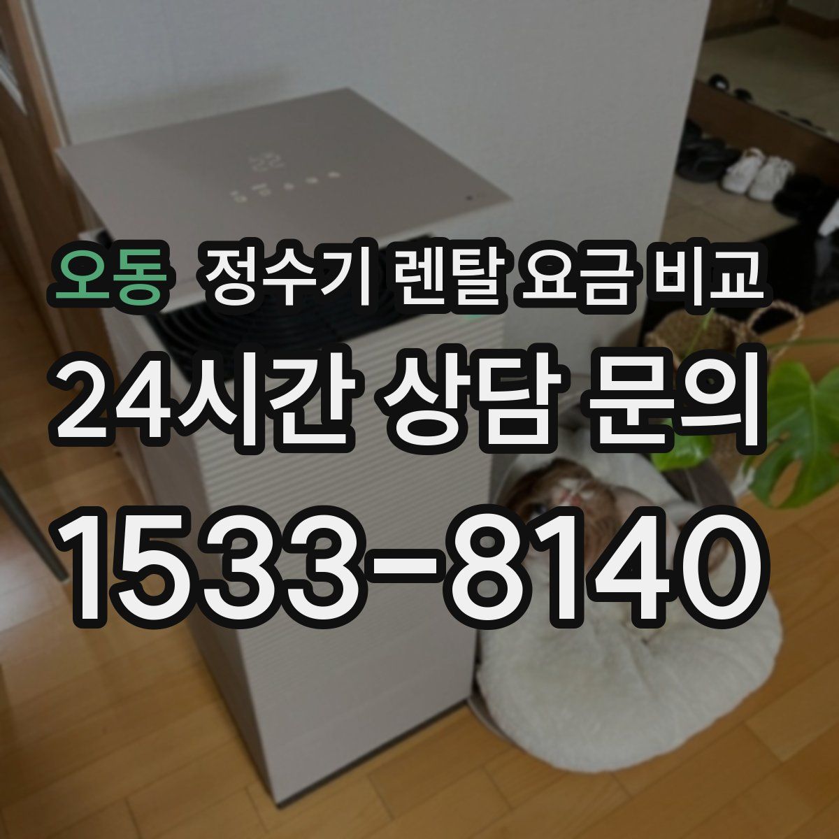 오동 정수기 렌탈 요금 비교