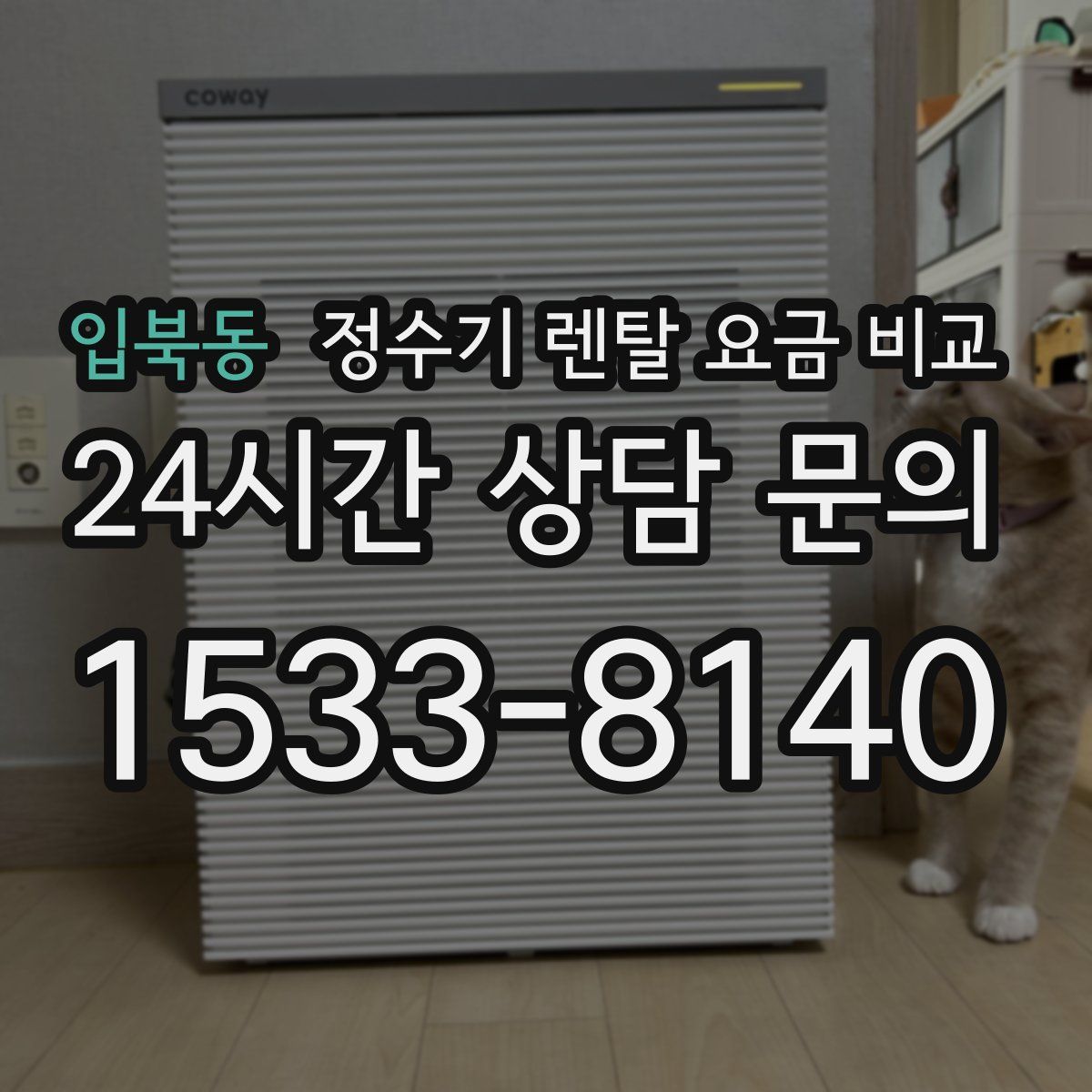 입북동 정수기 렌탈 요금 비교