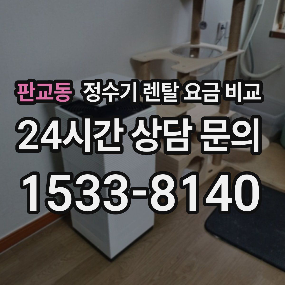 판교동 정수기 렌탈 요금 비교