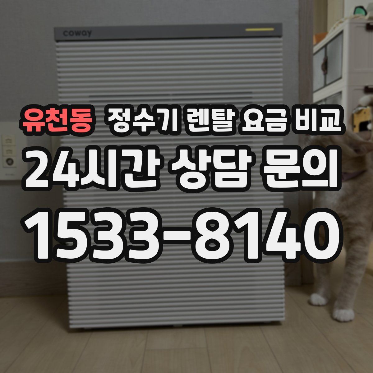 유천동 정수기 렌탈 요금 비교