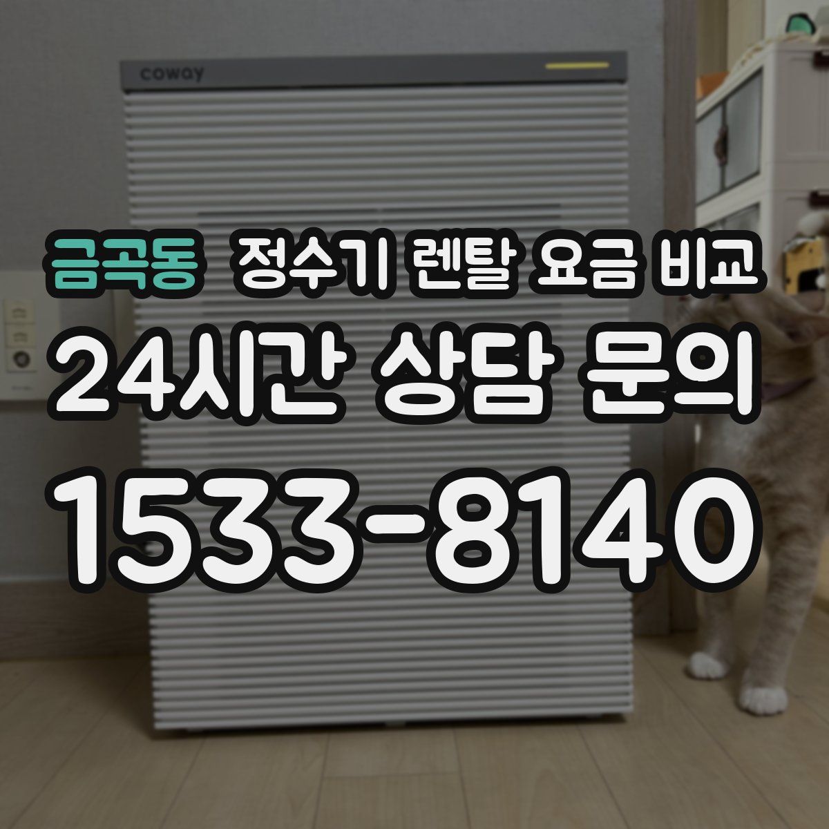 금곡동 정수기 렌탈 요금 비교