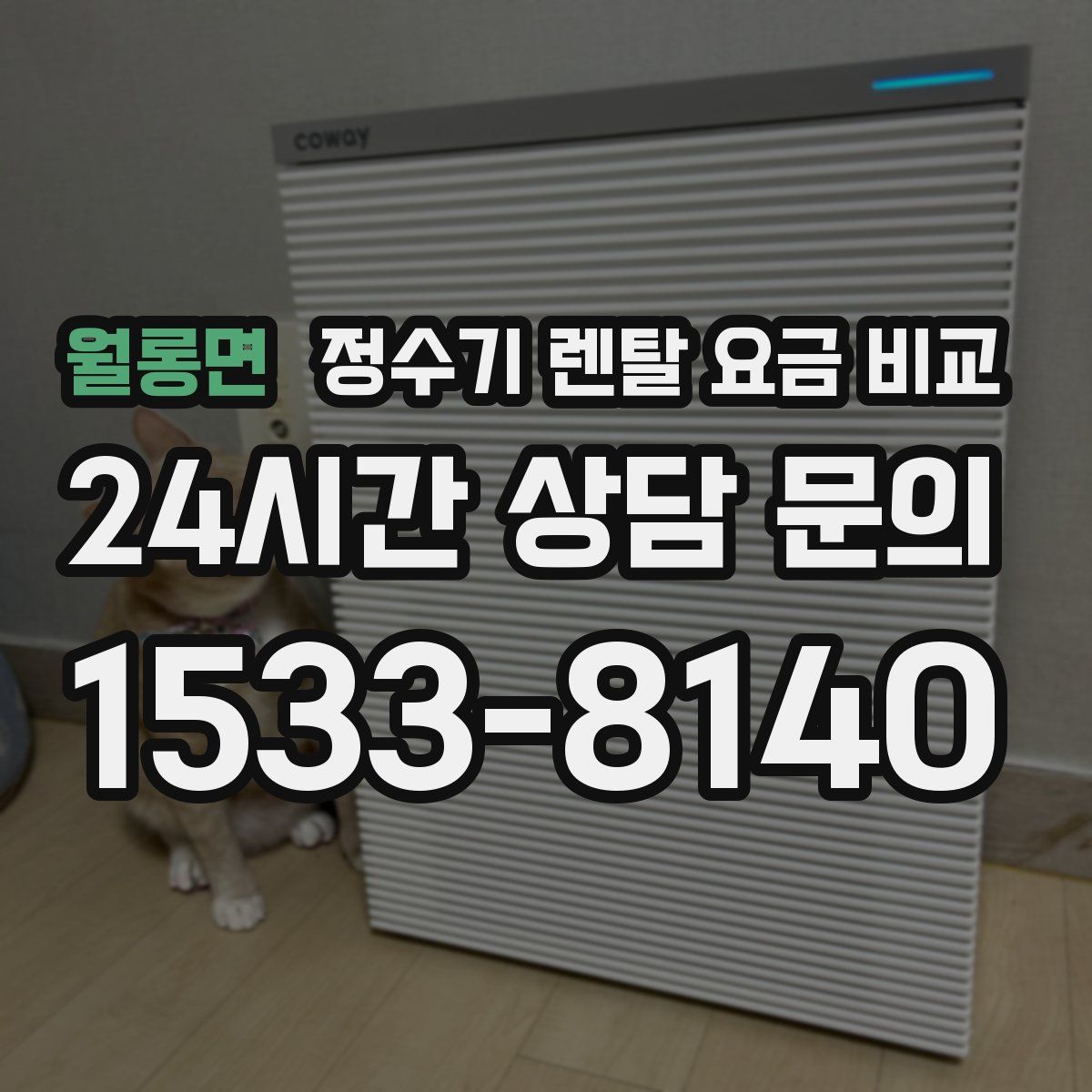 월롱면 정수기 렌탈 요금 비교