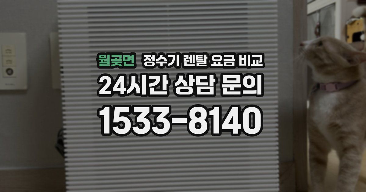 월곶면 정수기 렌탈 요금 비교